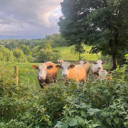 Pringle Pod 公寓 莫纳汉