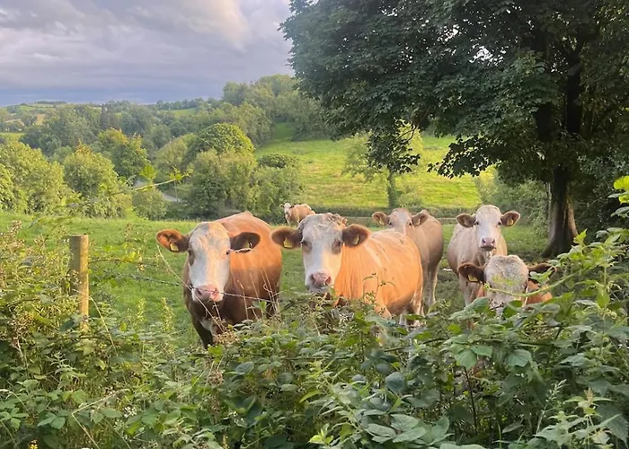 Pringle Pod 아파트 모니건