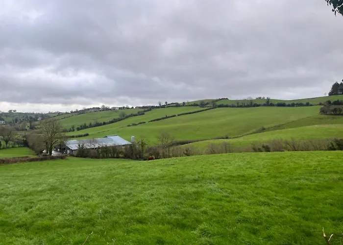 Daire Pringle Pod Monaghan